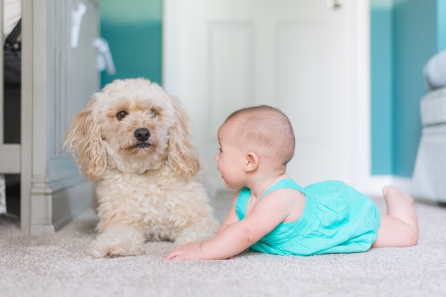 Baby%20with%20dog